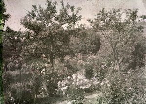 Vue de Giverny, le jardin de Monet, début des années 1920